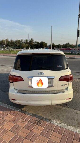 القطيف